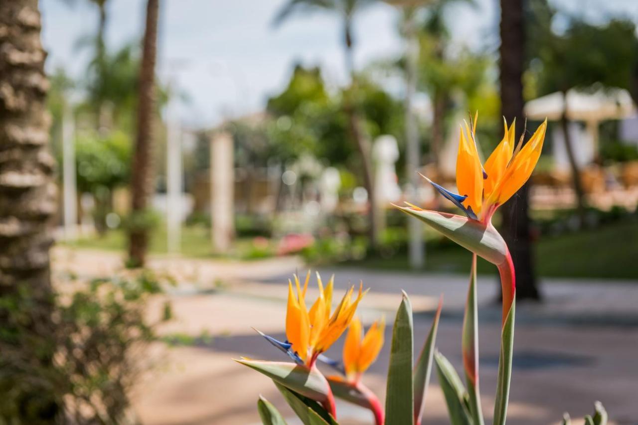 Hotel Alanda & Wellness 5*